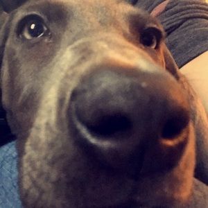 Meet your Posher, Regan